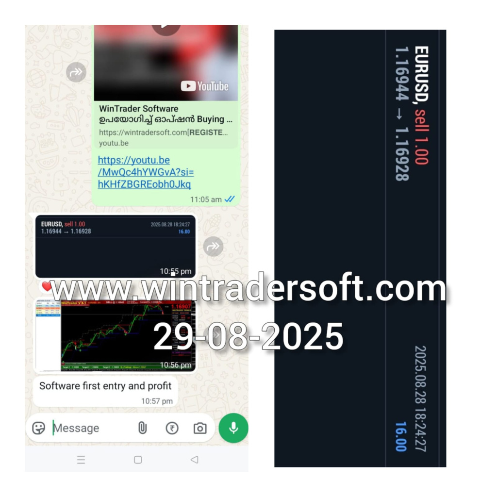 Software First Entry and Profit