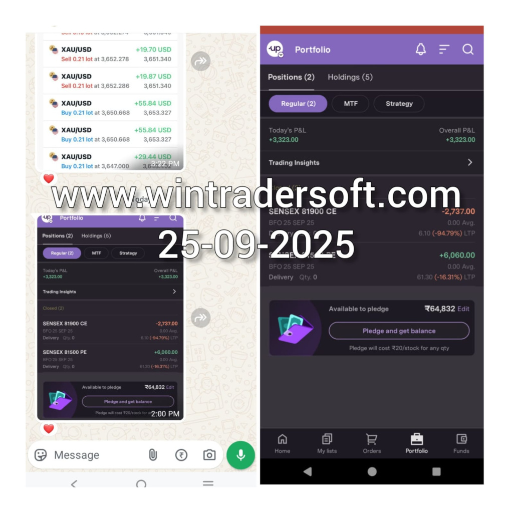 Got a total P&L of Rs. 3,323/-from SENSEX.